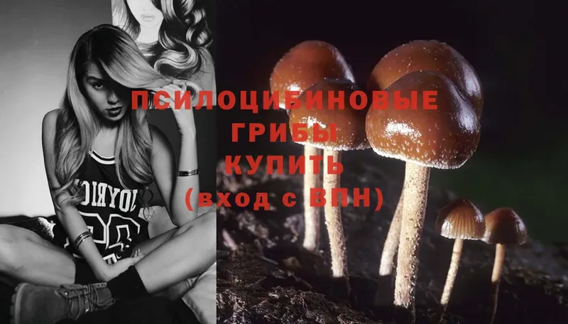 Галлюциногенные грибы MAGIC MUSHROOMS  цены наркотик  Мытищи 